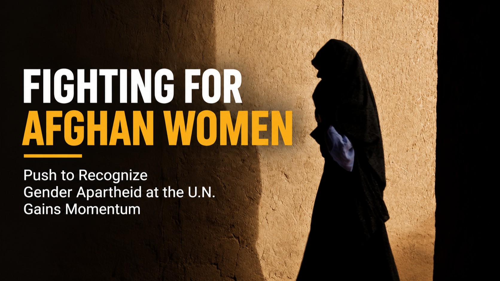 Advocates Push for Gender Apartheid to Be Recognized in Proposed U.N. Crimes Treaty