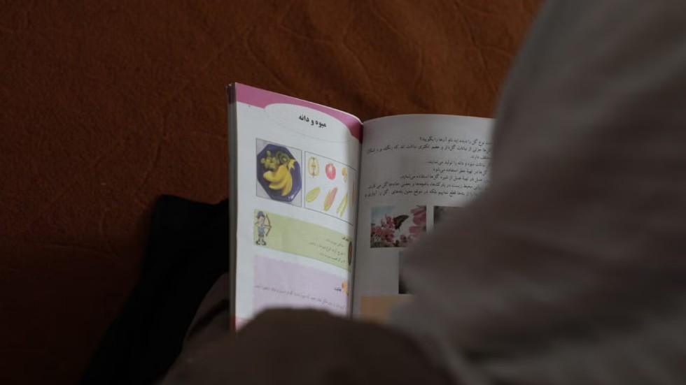 AI Healthcare